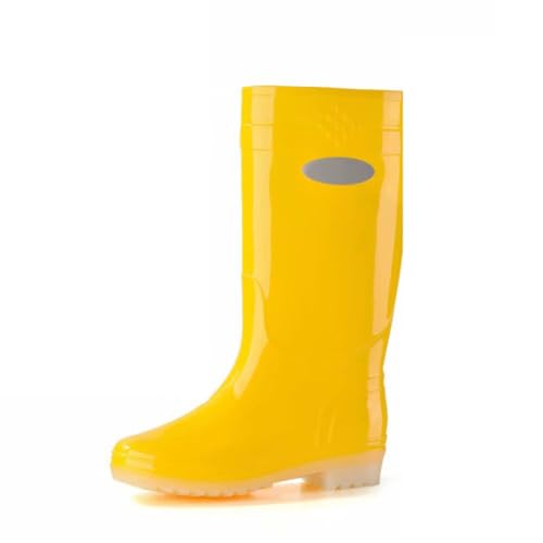 [CTN] Cu[c CV[Y Y fB[X h JC C jp y _炩 24.0 cm ~ ~J΍ fUC08 䕗 ނ Jp ʋΒʊw _