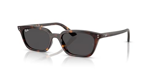Ray-Ban Zaya RB4456-135987