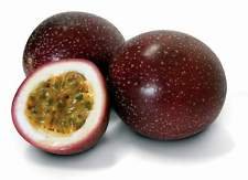 g tech garden l TROPICAL PURPLE PASSION FRUIT! plant