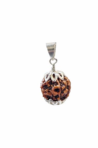 Image of Certified 5 Mukhi Rudraksha Pendant | Original Panchmukhi Bead with Certificate | Natural Nepali Rudraksha for Men & Women | Spiritual Locket With Black Thread