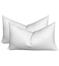 RSH DECOR: Sunbrella Pillow Covers Set Of 2 | Covers Only-689258