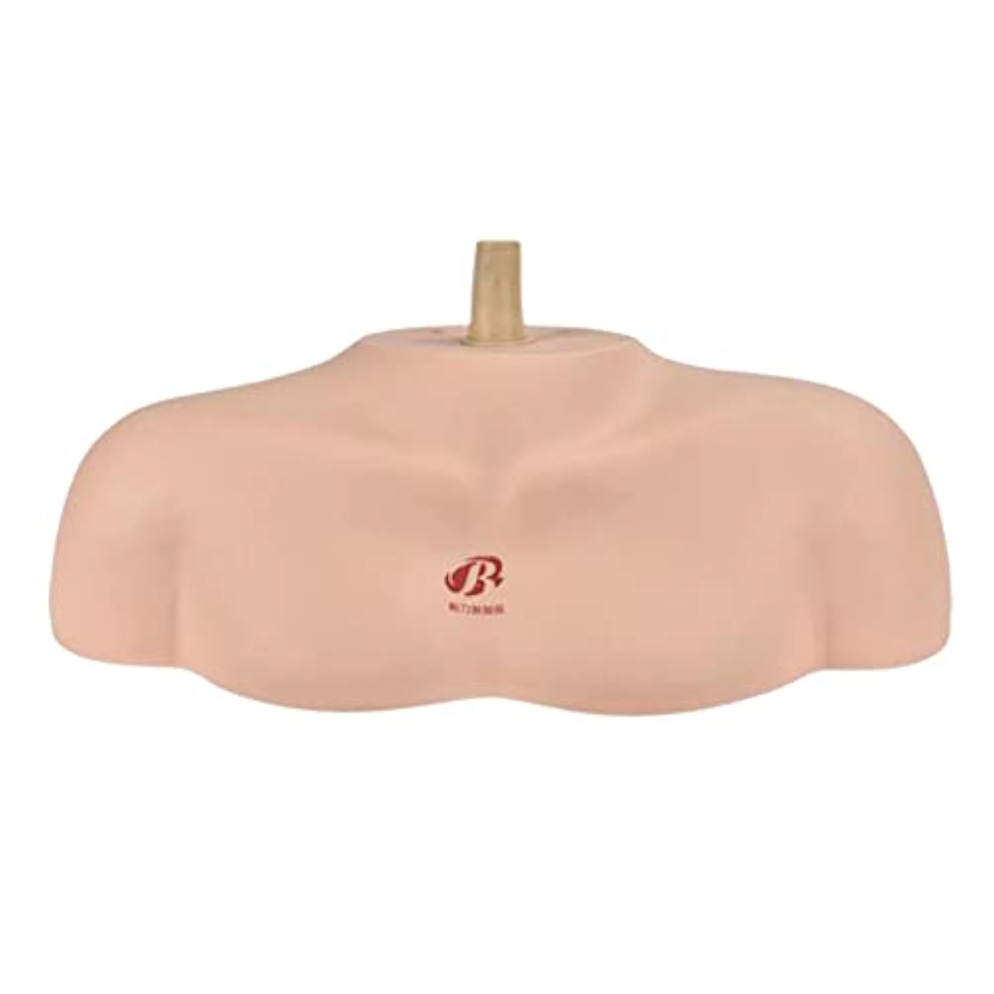 Cosmetology Makeup Mannequin Holder Shoulder Display Bust Base