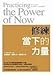 Practicing The Power Of Now: Essential Teachings, Meditations, And Exercises From The Power Of Now (Chinese Edition)