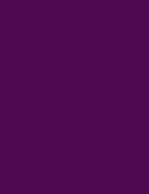 Flormar Oje Yeni Maxi Brush Pearly Pl432 Violet Defense 9053035 One Size