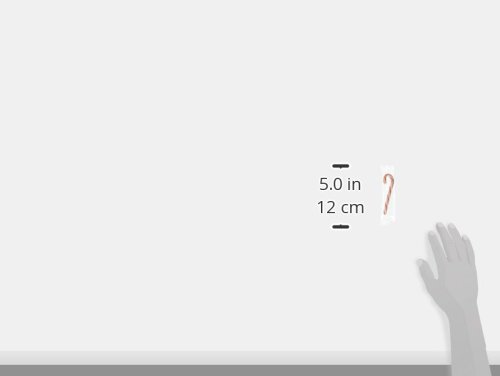 Spangler Mini Candy Canes, Peppermint R&W, 0.48 Pounds, 40 Ct #TOP1