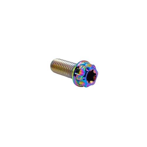 Image of RISON Titanium Bolts M10*1.25 * 25 Torx Titanium Bolts for Motorcycles Hex Head Dual Drive Rainbow Titanium Flange Bolt Pack of 5