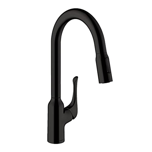 hansgrohe Allegro N 71843671 71843671 Pulverizador de 1 mango de altura con grifo de cocina