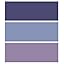 Blue/Dark Blue/Purple| With Fly