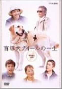 Amazon.co.jp: 盲導犬クイールの一生 DVD-BOX : 沢口靖子, 勝村政信