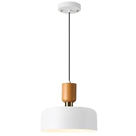 TeHenoo Modern Pendant...