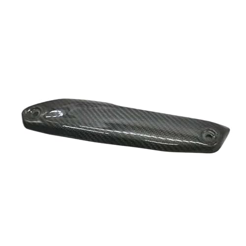 Cubierta escape BMW F850GS de fibra de carbono ideal para rutas overland y viajes largos