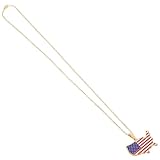 NIYANGLE Collar Colgante Patriótico Mapa de Estados Unidos, Acero Inoxidable Pulido Dorado, Diseño Redondo Colgante de Resina para Mujer, Obsequio Adecuado para Graduación y Eventos