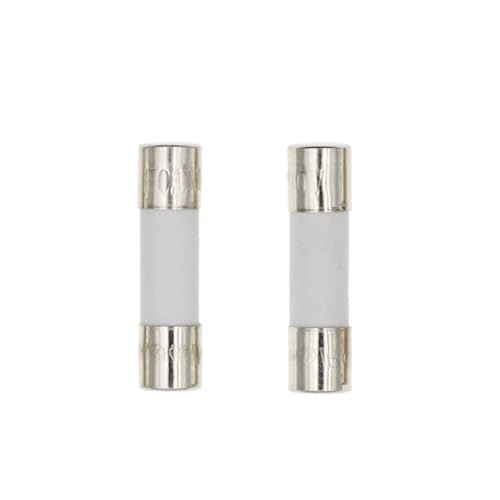 Fusible en céramique à rupture lente 6X30MM 20A 250V pour protection de circuit électrique