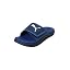 Persian Blue|clyde Royal|white