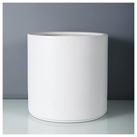 FOPAMTRI 6 Inch Plant Pot Matte White Ceramic Planter for Indoor Outdoor Plants Flowers Small Modern Cylinder Flower Pot with Drainage Hole and Plug,Full Glazed Finish