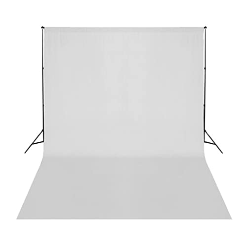 Kit studio photo lampes intensité variable et trépieds réglables