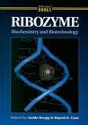 Ribozyme Biochemistry and Biotechnology: Biochemistry and Biotechnology (Molecular Laboratory Methods (Biotechniques Books)) 1881299287 Book Cover