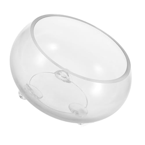 BUGUUYO   v^[  [ {  ͔|p ԕr [ z[I  [