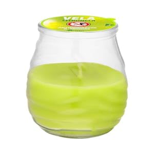 Vela citronela antimosquitos y moscas Bosque Verde Vaso 1 ud. Pack 2