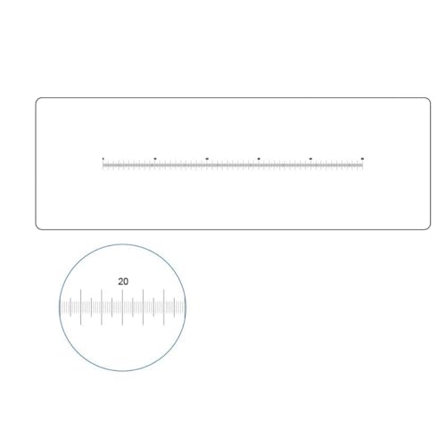 ANZT[Lbg RWAX|CgCQ[W PET XCh(2)