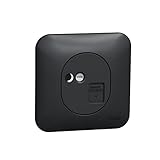 Couleur: anthracite Schneider Electric - Ovalis - Prise RJ45 - cat.6UTP - grade 1 - tél/informat Avec plaque -Anthracite - S460475