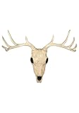 Crazy Bonez Deer Skull