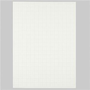 i܂Ƃ߁j TANOSEE ͑iv^Cvj { 765×1085mm n zCg 1P[Xi20j y×5Zbgz qȈՍ