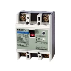 Amazon.co.jp: 河村電器産業 漏電ブレーカー ZL102-40-30 2P2E 定格
