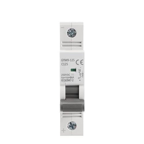 Disjoncteur 125A monophasé pour sécuriser les batteries et panneaux solaires de maison