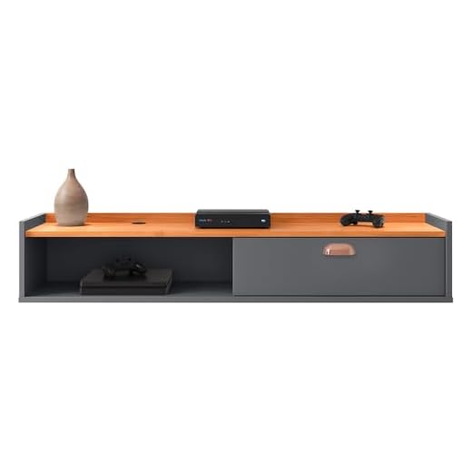 Rack Tv Smart Suspenso Home Decor 1 Porta Nicho Organizador Decoração Sala Quarto Compacto 1.20 Puxador Lauren - RPM Móveis (Cinza/Cinamomo)