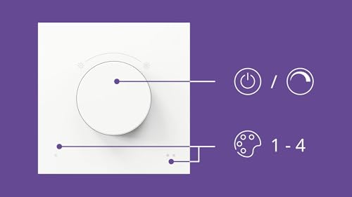 WiZ Smart Dial Switch - Portable Dimming and Scene Control with Just One Click, Rechargeable via USB, Controls All "Connected by WiZ" Lamps