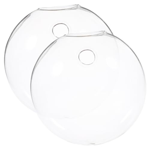 QUMIIRITY 2piezas Jarrón Hidropónico