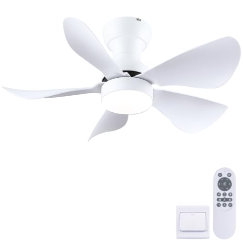 Kviflon 30 Inch Ceiling Fans with Lights and...
