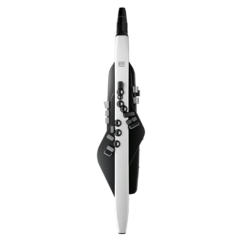 Amazon | ローランド Roland/AEROPHONE AE-20 エアロフォン 電子管楽器