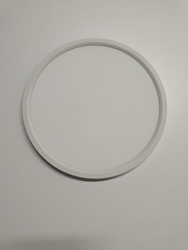 ROVEXO 11.4inch 4PK White Ceiling Light