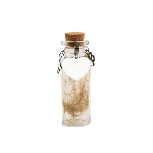 S/M/L ybgAKX{g Vo[ANZT[t  Lp wALOiۑe RNV[t(L)