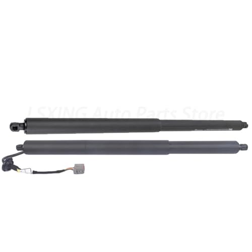 Vérin à gaz hayon électrique Premium pour Ford Explorer 2016-2019 GB5Z14B351A Paire