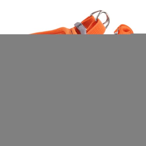 脱走防止 猫用ハーネス | ソフトメッシュベスト 反射性安全ストライプ付き - 子犬 小型犬 ペット用 ベスト 首輪 安全トレーニング お散歩 旅行 ハイキング バックパック アウトドア 冒険用