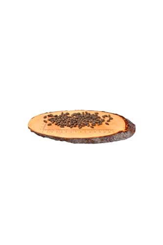 Carnilove Katze Sterilise im lachs 2 kg