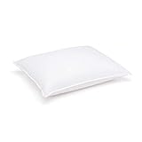 DOWNLITE Luxury White Goose Down Chamber Pillow - Hypoallergenic Feathers Surrounded by Down - Popular Hotel Style Pillow - King 20' x 36'