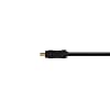 Tether Tools TetherPro USB 2.0 A Male to Mini-B 8 Pin Cable | for Fast Transfer and Connection Between Camera and Computer | Non-Reflective Black | 1 Foot (.3 m)