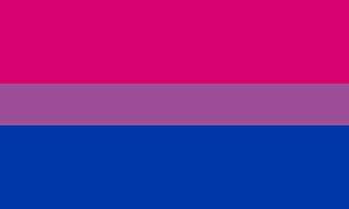 Drapeau Bisexuel Éclatant pour Célébration Diversité et Visibilité Bi - 2