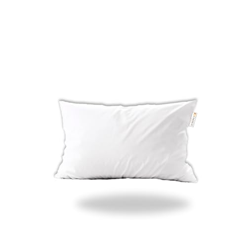 Choice Hotels Ecoendure Pillow Made In Usa 20X26 (Set Of 4) Used In Quality cover
