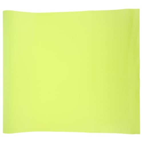 PRETYZOOM Tapis à Vert Eva Léger Substrat pour Clair en Reptiles Facile Nettoyer et pour Terrarium de Léopard, Dragon Barbu et Autres