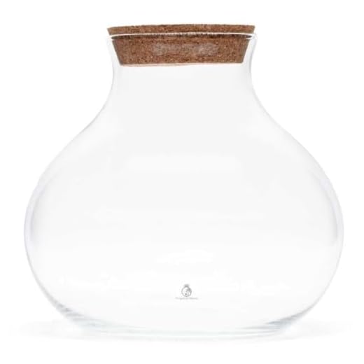 Elegant Glass Terrarium with Cork Lid