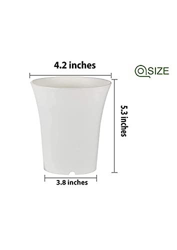 TILLAGE-Thailand Model Tall Pot White Colored Cactus and Succulent Plastic pots. (White, 10)