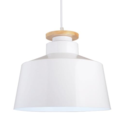 Lustre en fer de style américain suspension de plafond haut de gamme E27
