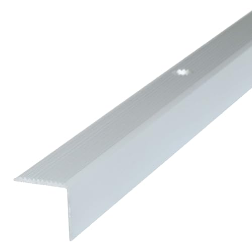Dalsys perfil de aluminio para cantonera de escalera 100cm x 20mm x 20mm perfil de suelo para ángulo de escalera para atornillar plata