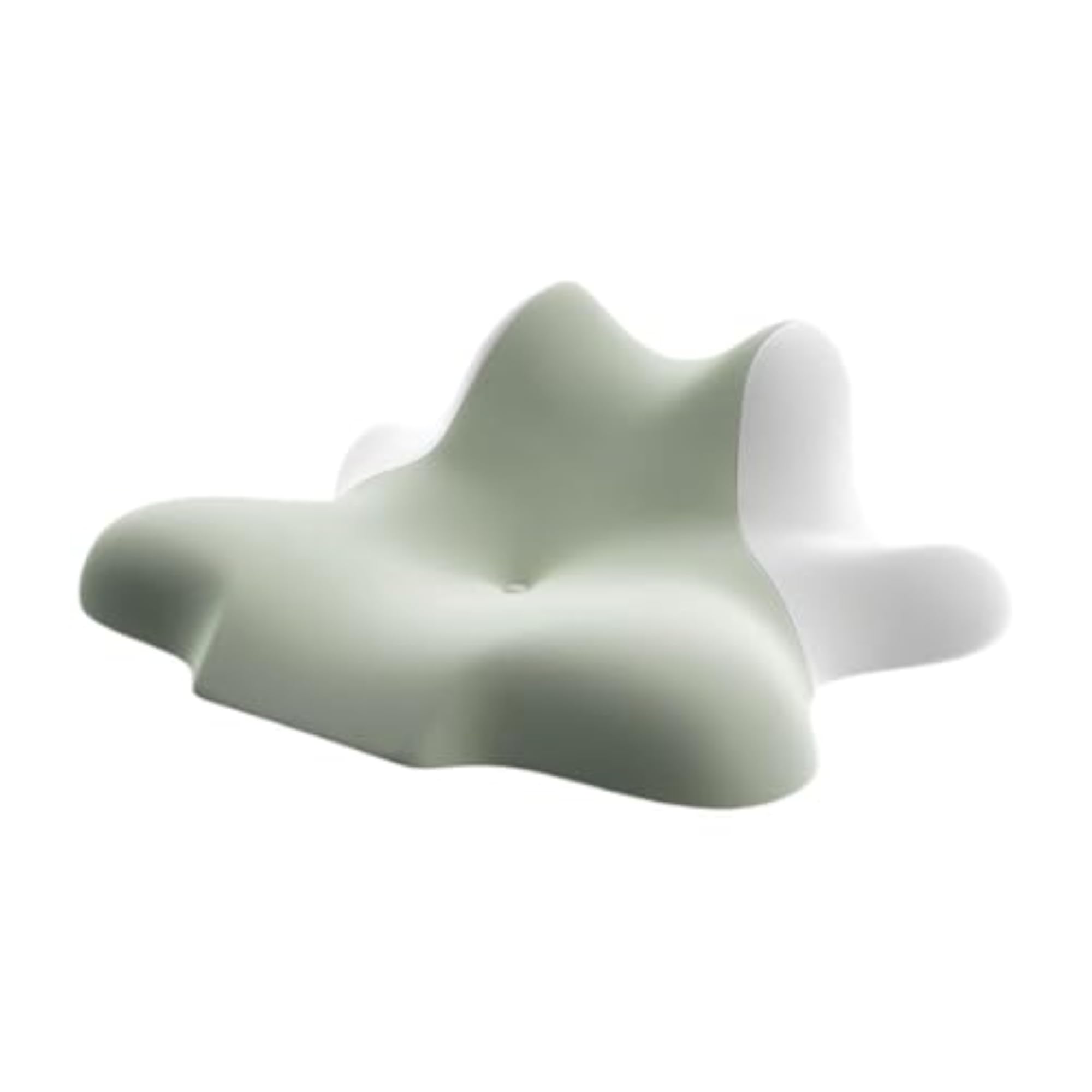 Memory Pillow for Side Back Stomach Sleeper, Ergonomic Green