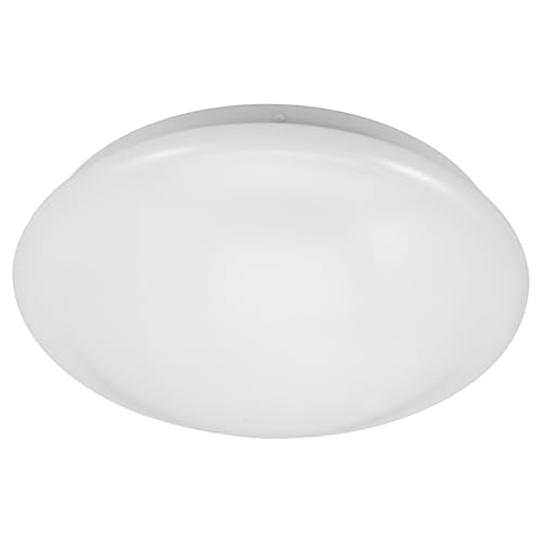 HAPINARY z? ی^V[OCgJo[ ϋvvX`bN gUψ ȒPtȃXy[X݌v Q _CjOpƖیJo[